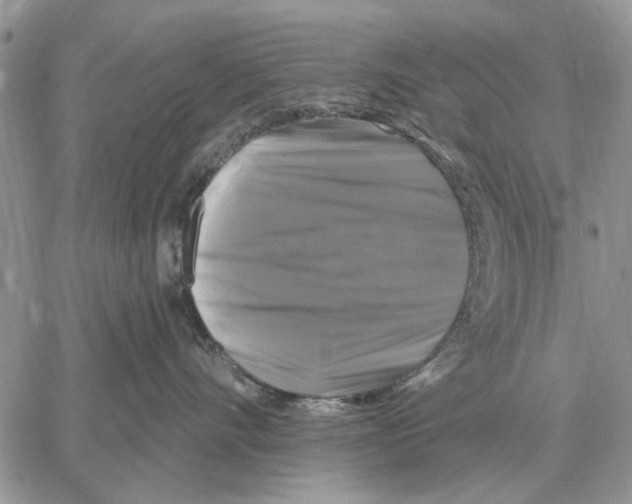 X0000058140528200510212114