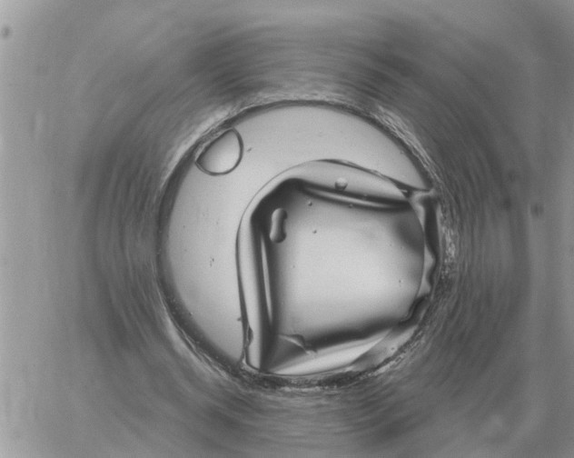 X0000058140534200510212113