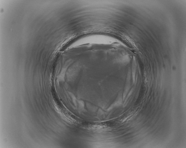X0000058140542200510212113