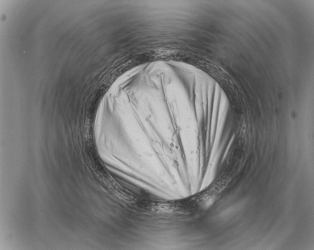 X0000058140565200510212114