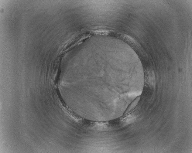 X0000058140573200510212114