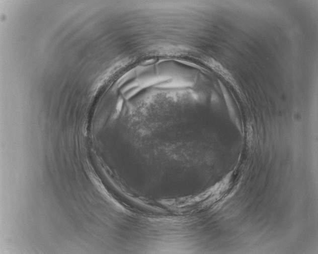 X0000058140581200510212113