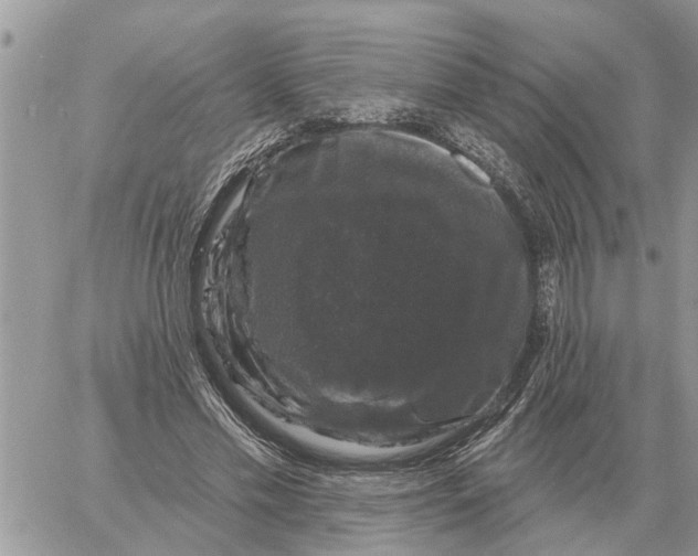 X0000058140589200510212113