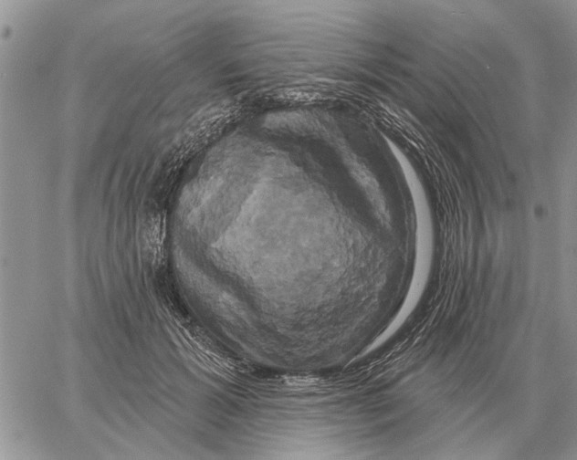 X0000058140605200510212113