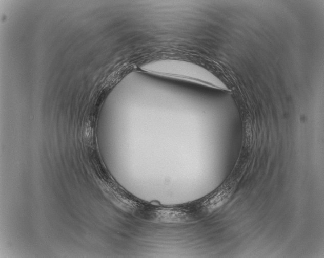 X0000058140614200510212112