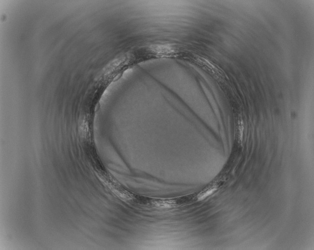X0000058140618200510212112
