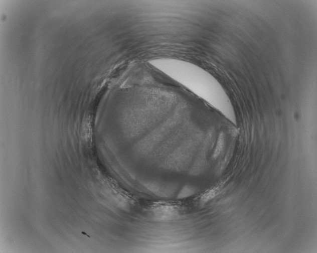 X0000058140620200510212112