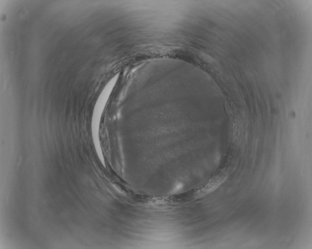 X0000058140624200510212112
