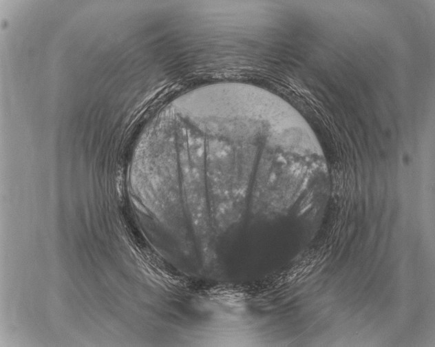 X0000058140648200510212112