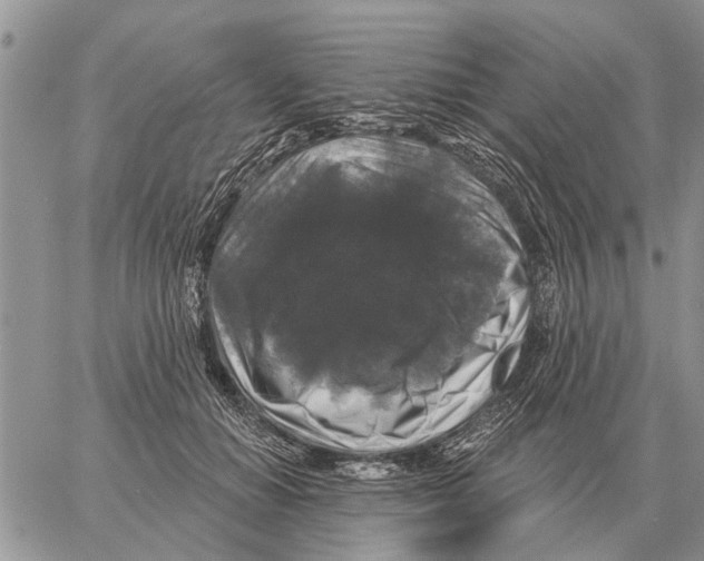 X0000058140654200510212112