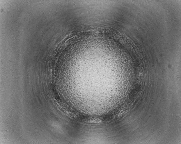 X0000058140656200510212112