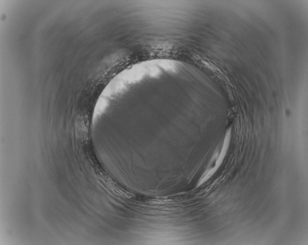 X0000058140661200510212112
