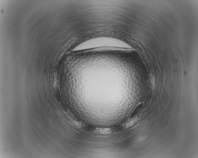 X0000058140665200510212112