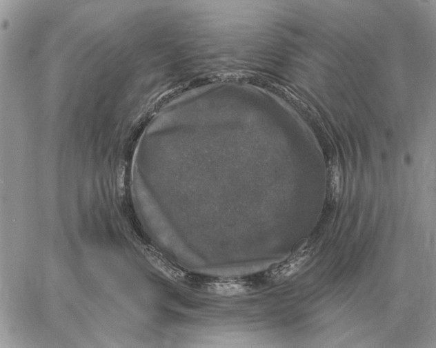 X0000058140668200510212112
