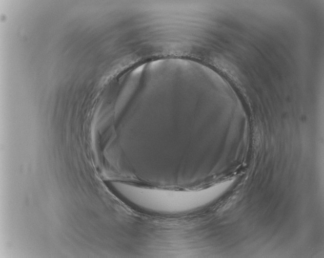 X0000058140673200510212111