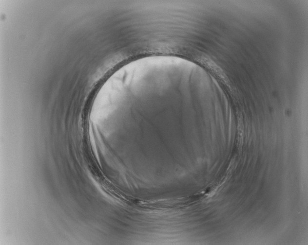 X0000058140674200510212111