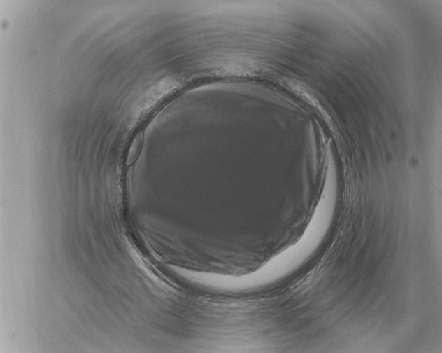 X0000058140677200510212111