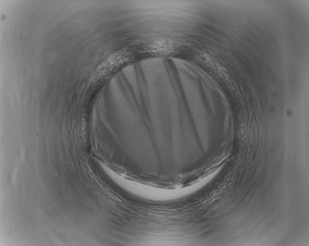 X0000058140689200510212111