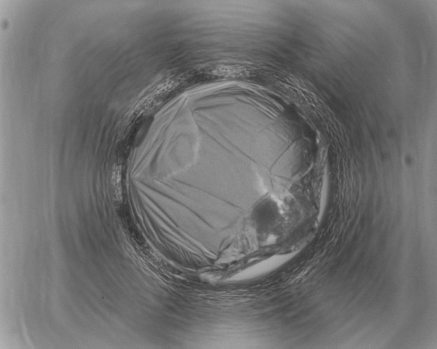 X0000058140696200510212111