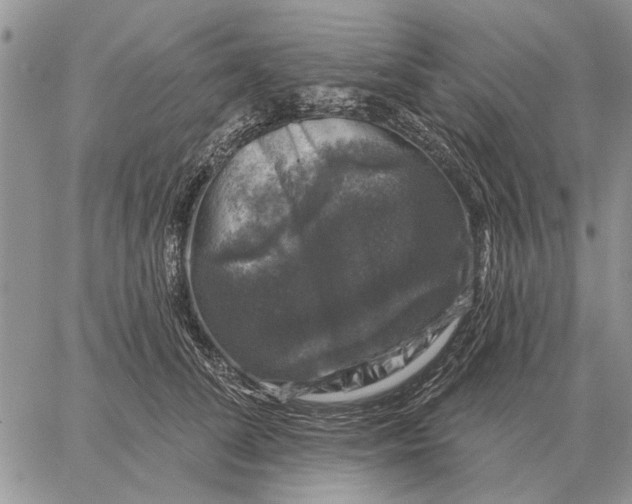 X0000058140708200510212111