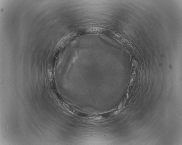 X0000058140716200510212111