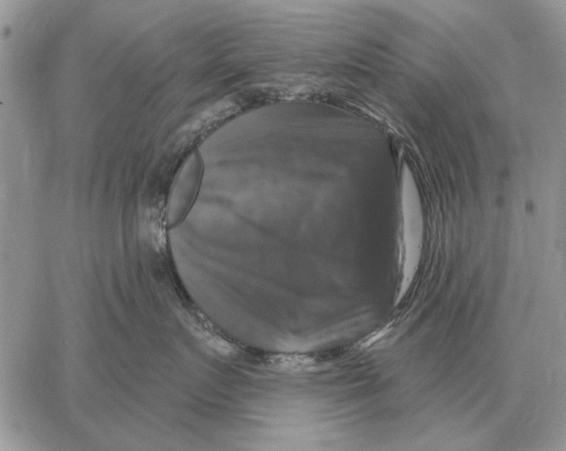 X0000058140719200510212111