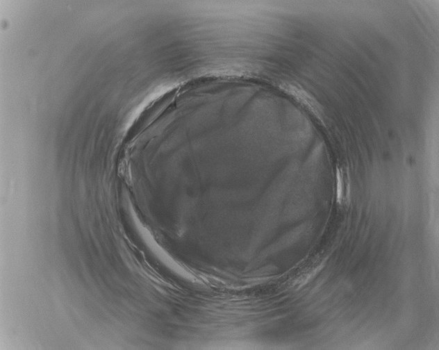 X0000058140723200510212110