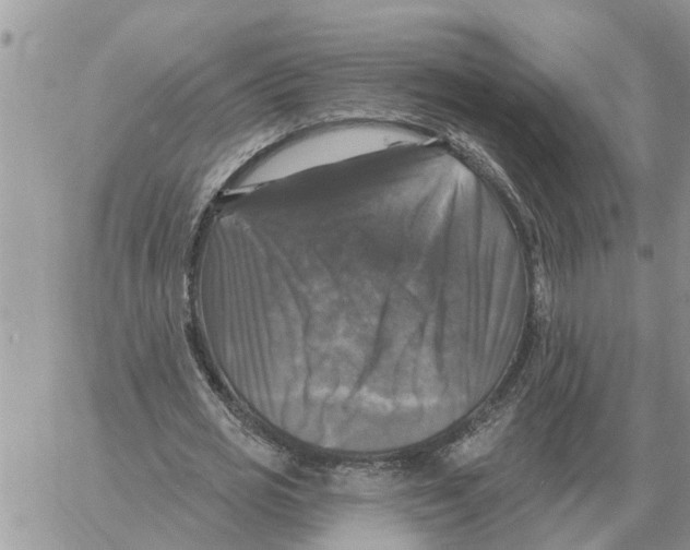 X0000058140725200510212110