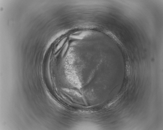 X0000058140726200510212110