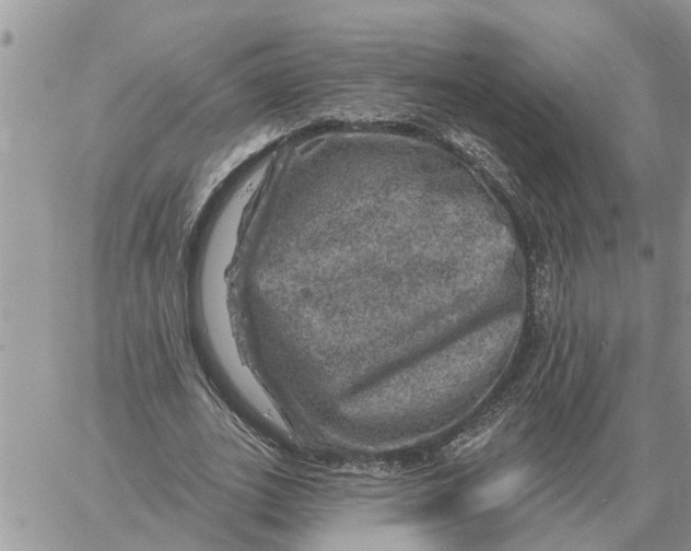 X0000058140727200510212110