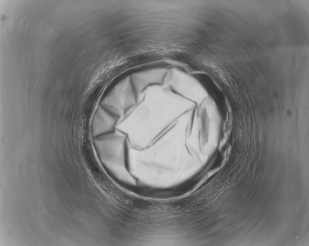 X0000058140736200510212110