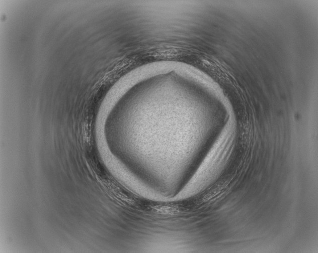 X0000058140755200510212110