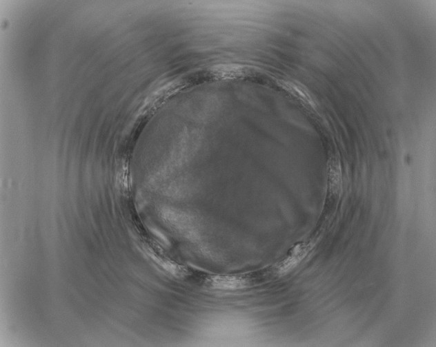 X0000058140766200510212111