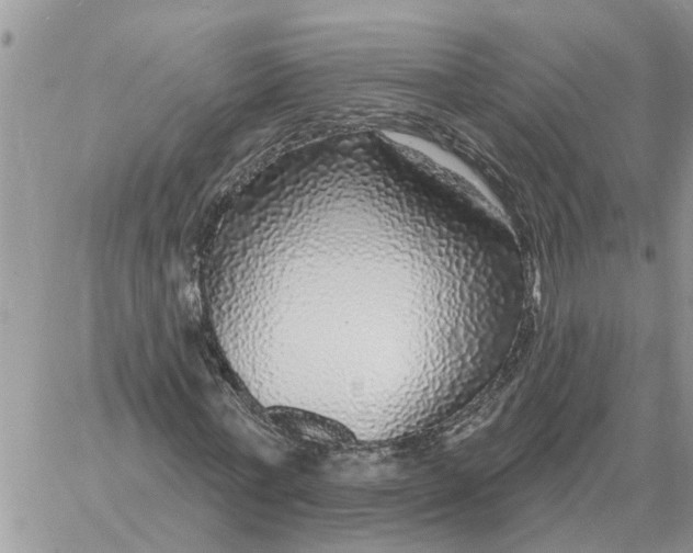 X0000058140771200510212110
