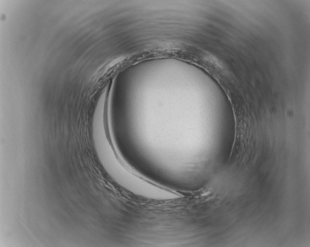 X0000058140773200510212110