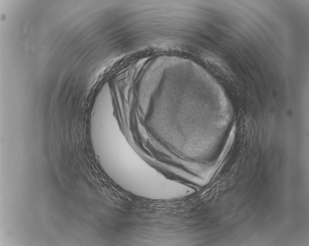X0000058140776200510212110