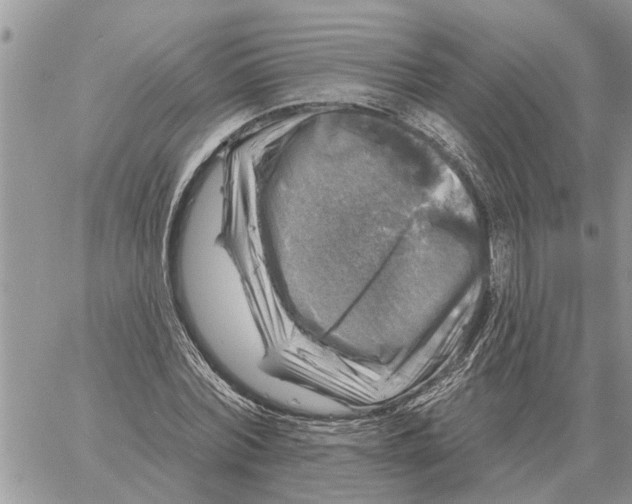 X0000058140780200510212110