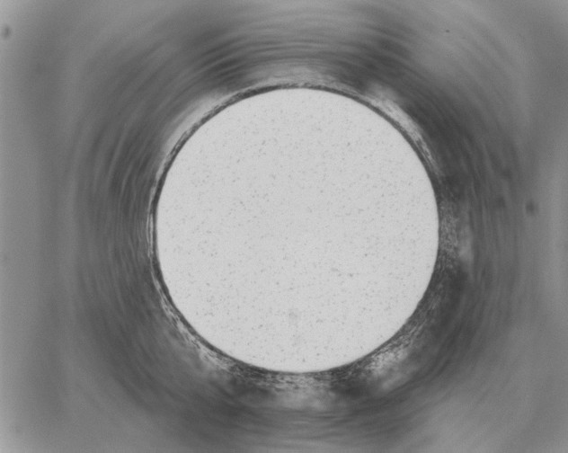 X0000058140807200510212109