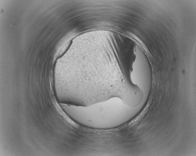 X0000058140812200510212109