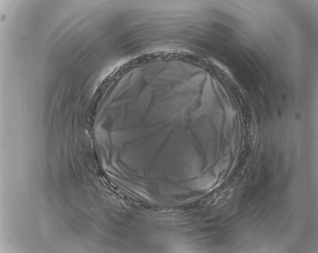 X0000058140823200510212108