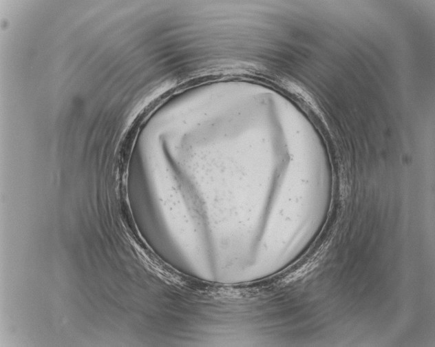 X0000058140827200510212108