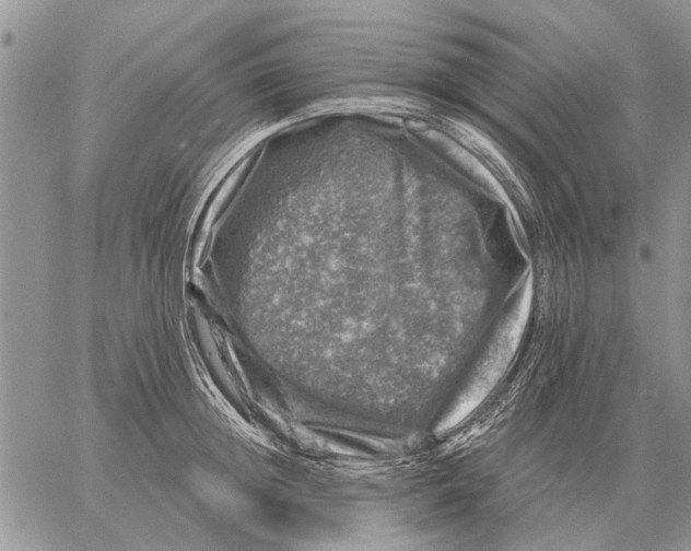 X0000058140852200510212109