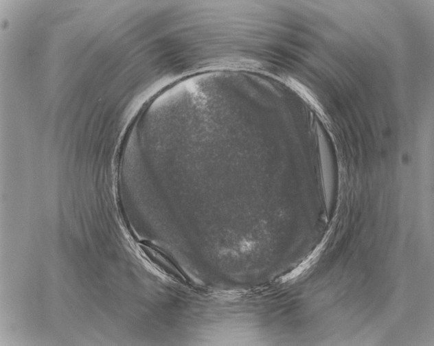 X0000058140854200510212109