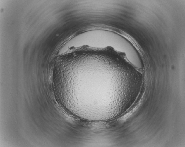 X0000058140857200510212109