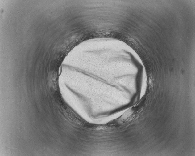 X0000058140867200510212108