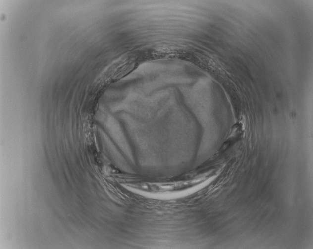 X0000058140868200510212108