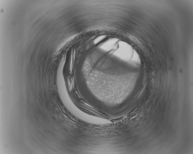X0000058140872200510212108