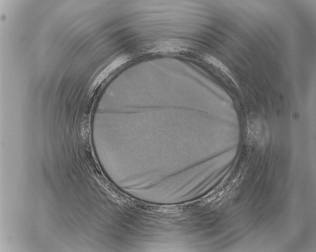 X0000058140874200510212108