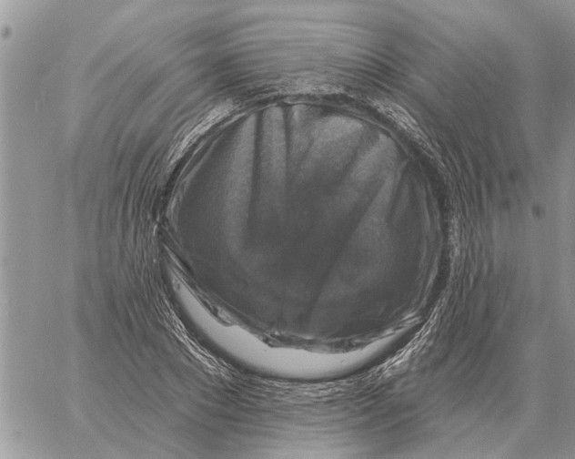 X0000058140881200510212108