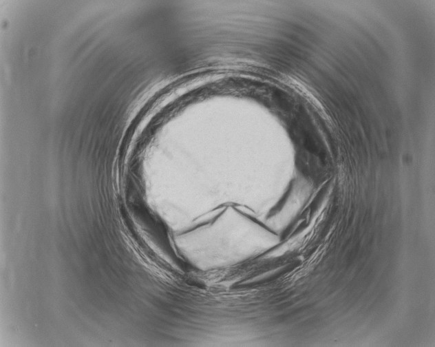 X0000058140891200510212108